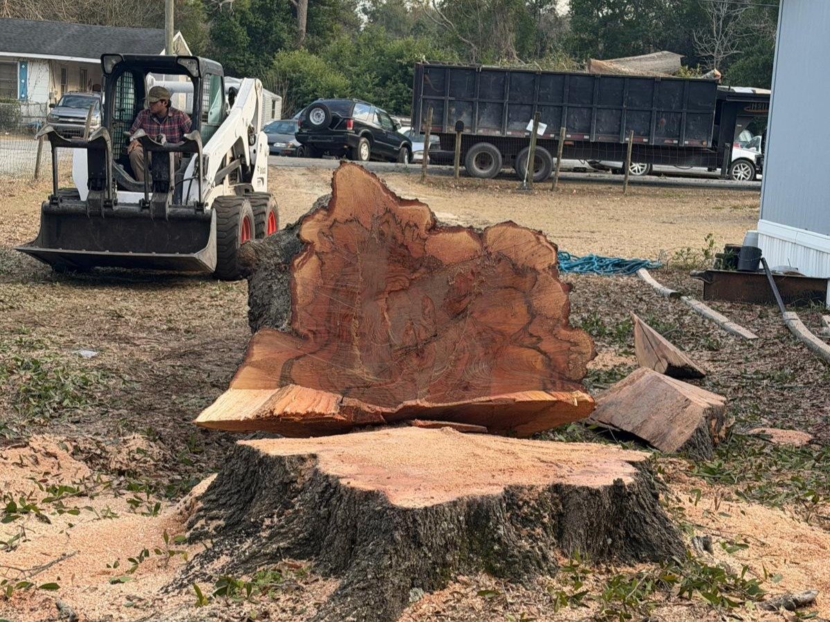 El Costeño Tree Service LLC